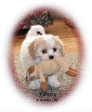 fanny8wkoval.jpg